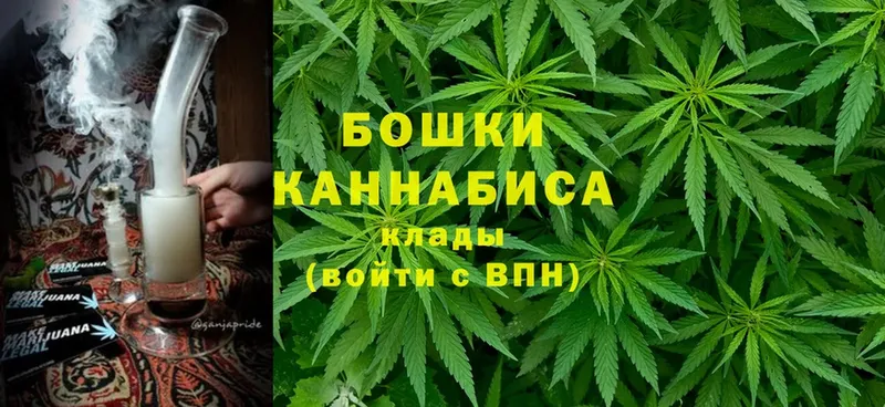 цены наркотик  Бирюч  Канабис OG Kush 